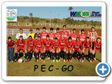96-PEC-GO=96