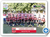 99-FLAMENGO LOBAO DA VARZEA-MG