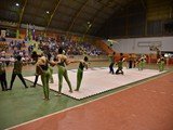 FCL_6360