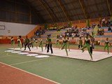 FCL_6363