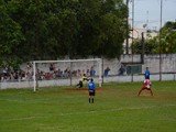 DLF_4794